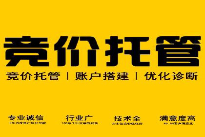 SEM竞价案例分析：提升广告投放效果